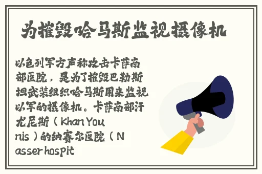 亚洲伊人成综合网视频